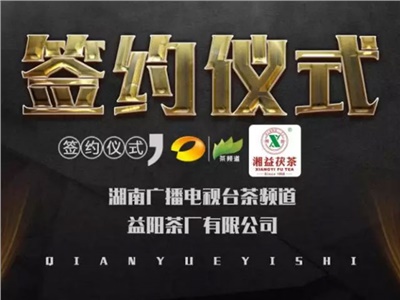 湘益茯，美茗揚 丨湘益茯茶與茶頻道達成長期戰(zhàn)略合作