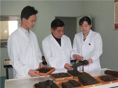 傳承茯茶非遺技藝、開(kāi)拓創(chuàng)新引領(lǐng)行業(yè)發(fā)展