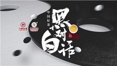 首屆黑白對(duì)話高峰論壇圓滿落幕！湘益茯茶備受關(guān)注！
