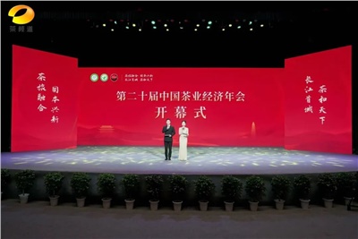 【聚焦第二十屆中國茶業(yè)經(jīng)濟年會】益陽茶廠榮獲“民族團結(jié)互助企業(yè)”、“2024年度茶業(yè)重點企業(yè)”榮譽稱號